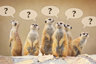People with questions regarding their career paths and have questions to ask someone in the same career that they want.
